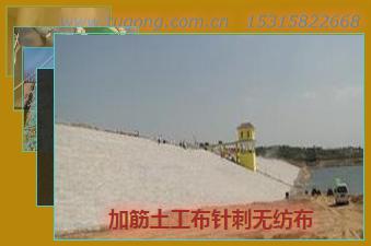 加筋土工布針刺無紡布