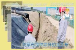 防草布是種怎樣的土工布
